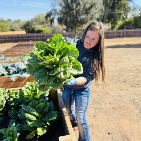 New micro-farm harvests more than food